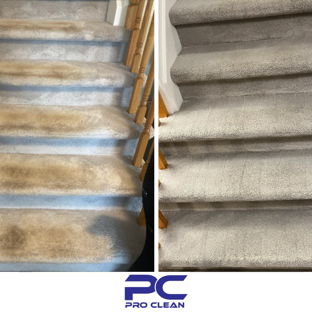 Tapis-proclean-2.png
