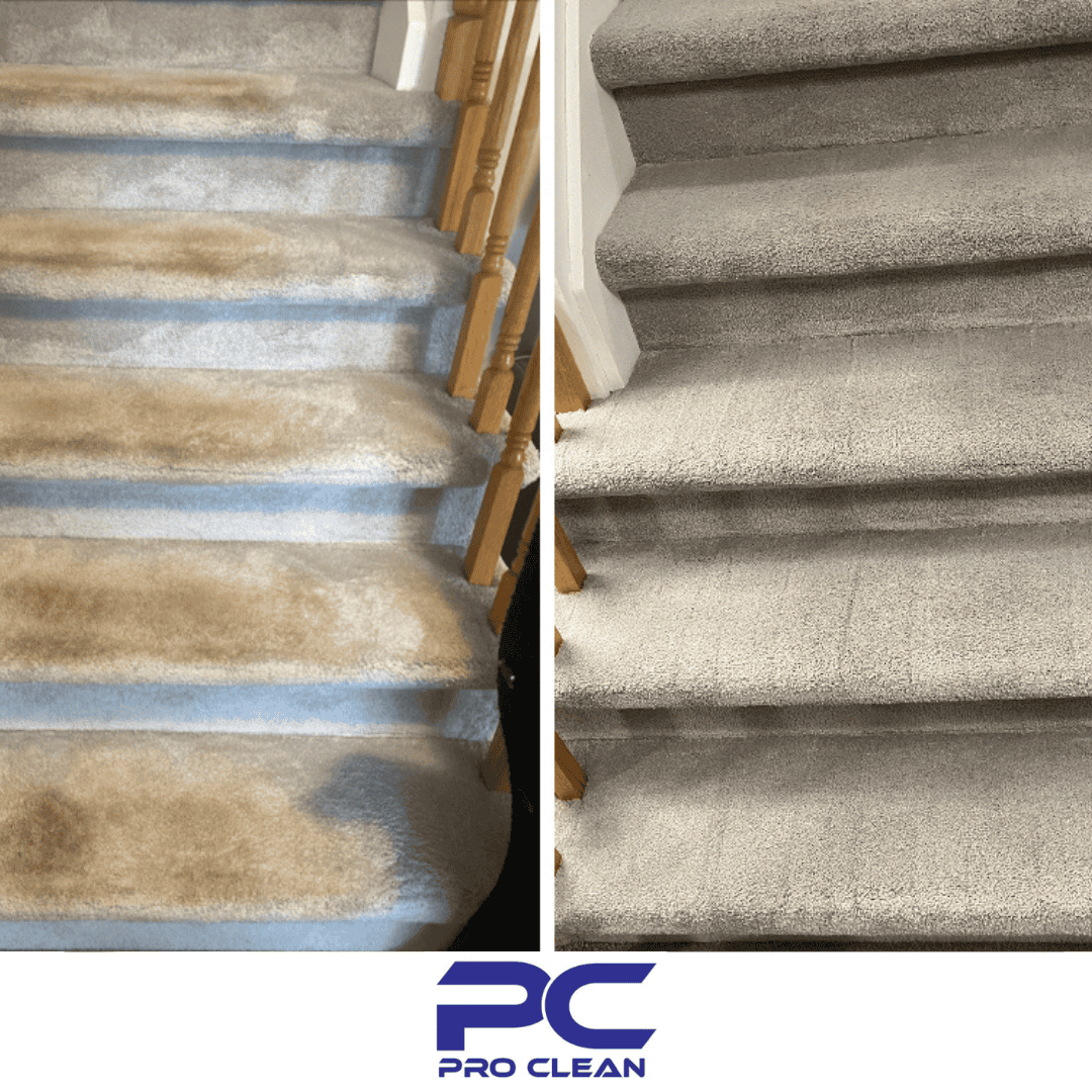 Tapis-proclean-2.png